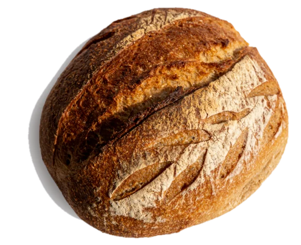 Okrugao hleb Locus Sourdough, posut brašnom, sa zarezima u obliku klasa i tamnozlatnom korom.