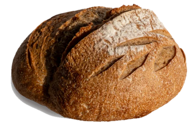 Okrugao hleb Locus Sourdough, posut brašnom, sa zarezima u obliku klasa i tamnozlatnom korom.